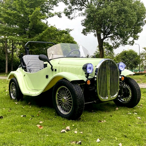 Vehículo Clásico Retro Vintage, Mini Auto Clásico Eléctrico, Transporte Especial, Buggy de Playa, Tubo de Acero, Freno de Disco Hidráulico - Product Image 1