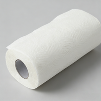 Einweg-Küchenrolle 2-lagig aus Frischholzfasern 80 Blatt Hochabsorbierend Weich Waschbar Umweltfreundlich Handpapiertuch Anpassbar