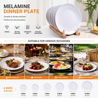 Luxe Melamine Bord, Onbreekbaar, Keramieklook, Onverwoestbaar Serviesgoed voor Restaurant, Hotel, Bruiloft, Feest, BPA Vrij
