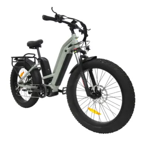 دراجة كهربائية عالية المدى بإطار عريض E دراجة هوائية هوائية جبلية بافانج Ebike من الألومنيوم بطارية مزدوجة 48 فولت بطارية ليثيوم 17.5ah STD 26
