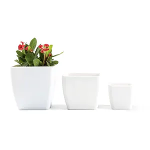 Quadratische saftige Töpfe Weißer Mini-Plastik-Blumen-Pflanz gefäß mit Tablett