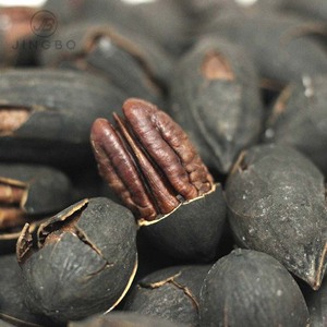 Giá Bán Buôn Nhà Máy Trực Tiếp Hot Bán Vừa Khô <span class=keywords><strong>Pecan</strong></span> <span class=keywords><strong>Nuts</strong></span> Tươi Chọn Số Lượng Lớn <span class=keywords><strong>Pecan</strong></span> <span class=keywords><strong>Nuts</strong></span> Cho Snack Trái Cây Sấy Khô - Product Image 2