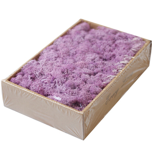 QSLHFH-1049 Haute Qualité Fraîche Conservée Mousse Végétal Stabilisé Pour La Décoration D'intérieur - Product Image 4