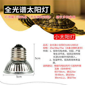 Pet sưởi ấm Đèn UVA + uvb3.0 rùa beo Gecko rắn bò sát lồng sưởi ấm bóng đèn 25w50w75w mặt trời đèn - Product Image 2