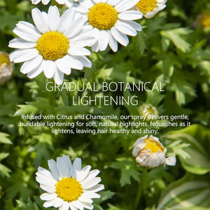 Éclaircissant rafraîchissant aux agrumes et à la <span class=keywords><strong>camomille</strong></span> pour <span class=keywords><strong>cheveux</strong></span> bruns pour <span class=keywords><strong>cheveux</strong></span> foncés <span class=keywords><strong>Spray</strong></span> de traitement capillaire personnalisable OEM et ODM - Product Image 4