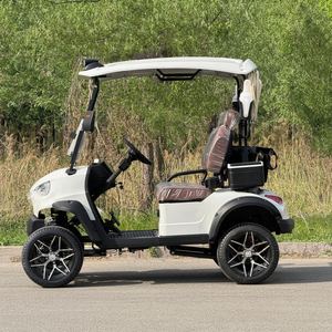 Voiturette de <span class=keywords><strong>golf</strong></span> 6 places, batterie lithium 72V, certifiée CE, avec autonomie <span class=keywords><strong>ultra</strong></span> longue pour les déplacements communautaires, les visites touristiques et les sorties en famille - Product Image 2