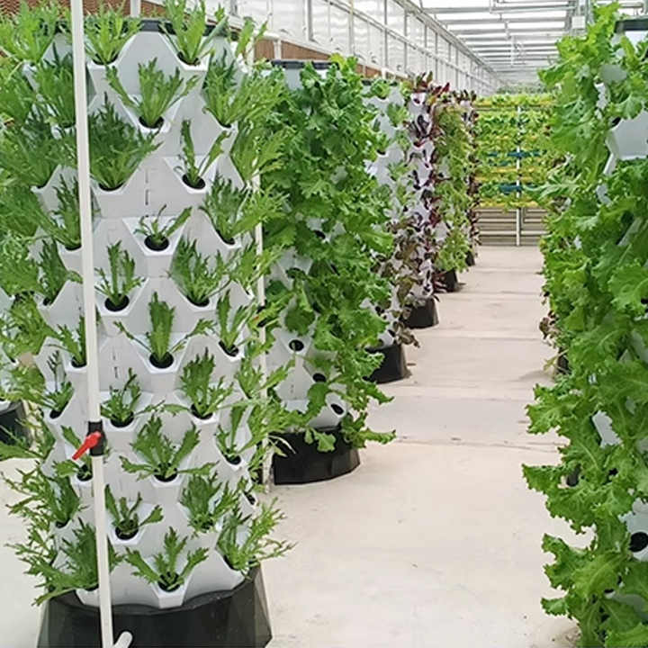 Torre de piña de cultivo sin suelo directo de fábrica, equipo de ...