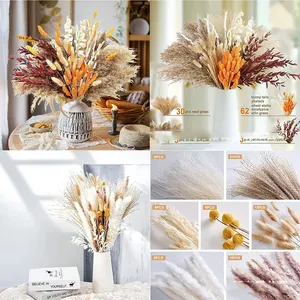 Bouquet Naturale di Fiori Secchi Soffici, Erba della Pampa Decorativa per Vasi, Erba <span class=keywords><strong>Pampas</strong></span> Essiccata all'Ingrosso - Product Image 5