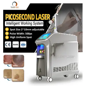 Nd yag picosecond terapi tato picosecond, pena penghilang tato laser dioda mesin laser penghapus tato