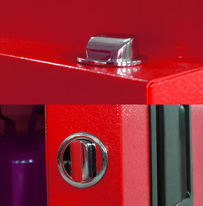 خزانة أمان قابلة للاحتراق ببابين ، 60 غال ، 2 باب ، 60 غال ، 2 باب, خزّان آمن من المواد الكيميائية القابلة للاحتراق ، سعر الجملة - Product Image 2