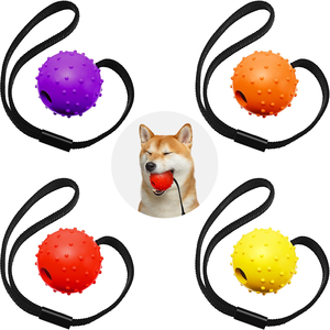 Jouet pour chien robuste pour la lutte de traction - Balle en caoutchouc interactive sur corde pour la mastication agressive et l'entraînement - Product Image 1