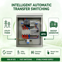 Boîtier de distribution d'alimentation triphasé industriel 100A avec ATS (commutateur de transfert automatique) IP54, en acier thermolaqué, OEM/ODM