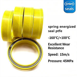 Reduzir Vazamentos de Vapor, Selos Energizados por Molas para Eficiência de Turbinas, Kit de Selos PTFE de Alta Confiabilidade - Product Image 4