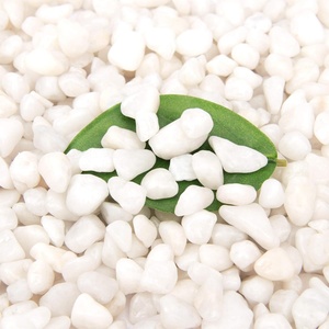 Kleine Witte Steen Voor Planten Pottingsucculenten Aquarium Aquarium Aquarium Gardenvazen Decoratieve Kiezels Grind Rotsen Voor Het Decoreren - Product Image 3
