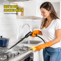 Nettoyeur Vapeur Portable Haute Température pour Maison, Cuisine et Voiture, Vente Directe Usine, Prise EU/US