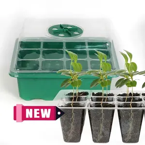 정원 식물 수경 트레이 보육 심기 상자 커버 12 셀 씨앗 성장 플라스틱 보육 트레이 돔