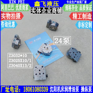 Bomba de Aceite para Engranajes de Control de Máquina de Perforación Radial Sino-Checa Z3040X10/1 13/2 Z3032 Z3025 Shenyang 24 Bombas 220V CNC - Product Image 1