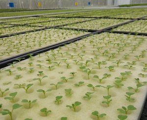 La siembra de la parte de la máquina de cultivo hidropónico de verduras de plántulas de plantación de <span class=keywords><strong>esponja</strong></span> - Product Image 5