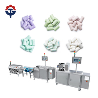 Vente directe d'usine TG, machine à chewing-gum à LED à haute efficacité, service après-vente fourni, machine à chewing-gum pour la production de chewing-gum à bulles