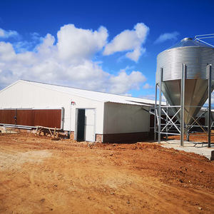 Equipo de granja avícola automático Máquina de cría de pollos para la fabricación de piensos para aves de corral Casa de granja de pollos de nuevo diseño - Product Image 6