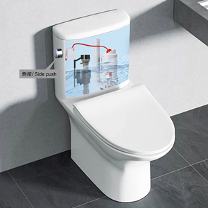 T0219 easyfit Deluxe <span class=keywords><strong>dual</strong></span>-tuôn ra Kit cho nhà vệ sinh <span class=keywords><strong>push</strong></span> <span class=keywords><strong>button</strong></span> với không có Tank loại bỏ ABS & PP chất liệu cho phòng tắm sử dụng - Product Image 5