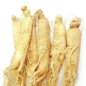 ginseng root extract capsules powder extract drink coffee tea seeds panax ginseng