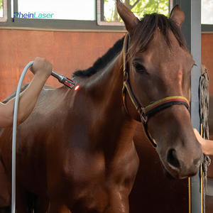 効果的なクラスIV獣医用レーザー治療機 10w-30w 810nm 980nm ペットクリニック用 - Product Image 5