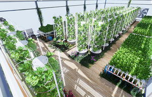 Chất lượng cao hydroponics màu xanh lá cây hệ thống nhà kính dâu tây hỗ trợ cà chua phát triển <span class=keywords><strong>container</strong></span> phát triển thiết bị - Product Image 6