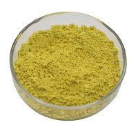 Fabricant prix de gros extrait de Sophora Japonica naturel de haute pureté 95% poudre de quercétine