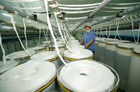 Poudre/liquide alcalins de pectinase d'enzymes industrielles de Bioscouring pour le retrait efficace de pectine de textile