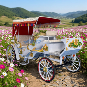 Calèche royale blanche pour visites touristiques/transport spécial/calèche Cendrillon à vendre/calèche de tourisme - Product Image 1