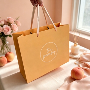 Bolsa de papel de color nude personalizada, bolsa de papel de regalo de lujo con asa de cinta de satén y logo impreso para boutique - Product Image 1