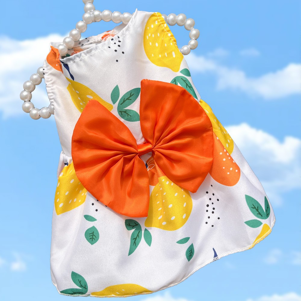 Orange Lemon Dress