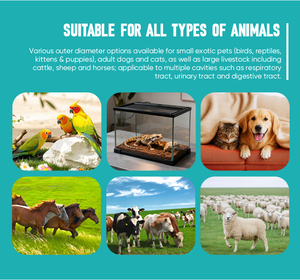 Laringoscopio Veterinario Rígido con Ángulo de 70 Grados, Pantalla de 3 Pulgadas, Batería Recargable, Endoscopio para Anestesia de Mascotas - Product Image 4