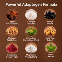 Poudre de Cacao Adaptogène INNER VITALITY avec Maca, Shilajit et Collagène pour l'Énergie, l'Équilibre de l'Humeur et le Soutien à la Libido Féminine