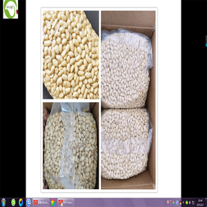 Grosir Kacang Tanah Kupas Varietas 25/29, 100% Alami, Mentah, Kualitas Makanan, Kemasan 25KG, Harga Murah - Product Image 5