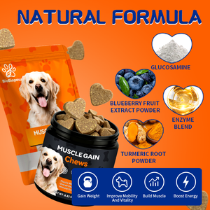 Complément en Bouchées Tendres pour le Tonus Musculaire Canin, Protéine de Lactosérum et Créatine, Renforce la Vigueur du Chiot à l'Adulte, Tendre et Appétent - Product Image 2