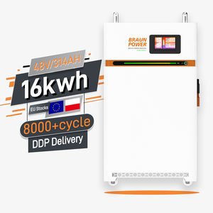 Système de Stockage d'Énergie <span class=keywords><strong>Braun</strong></span> Power 16.07 kWh 3.2V MB31 314Ah 16kWh 48V avec Batterie au Lithium 48 Volts et Système Solaire 15 kW à Vendre - Product Image 1