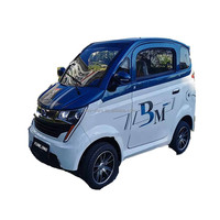 Voiture électrique miniature à faible vitesse homologuée EEC L6E chinoise, 2 places, sans permis de conduire, vitesse de 25 km/h pour adultes