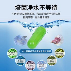 Capsules de bactéries nitrifiantes Nai Chong, 100 pièces, pour aquarium d'eau douce et d'eau salée, clarificateur d'eau - Product Image 3