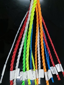 <span class=keywords><strong>Corde</strong></span> à <span class=keywords><strong>linge</strong></span> en gros pour le camping en plein air - Product Image 6