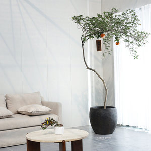 Maceta de <span class=keywords><strong>barro</strong></span> de magnesio de gran calibre, estilo retro, biodegradable, para <span class=keywords><strong>exterior</strong></span> e interior, para patio y villa, estilo Wabi-sabi, tipo China. - Product Image 3