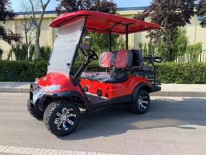Carrito de Golf Eléctrico Blanco de 2 Plazas con Toldo, Certificado CE, Alcance de 90 km, Vehículo Todoterreno para Turismo - Product Image 6