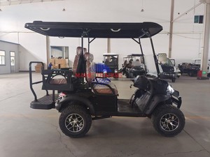 Voiturette de golf électrique 4 places Hightop, batterie lithium 72V, pour usage en resort - Product Image 5