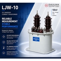 Transformateur de courant immergé dans l'huile LJWD-10 / LJWD-12 CT 10kV/12kV Classe 0.2/0.5/3/D