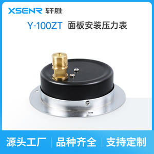 Manomètre analogique Suzhou XuanSheng Y100ZT 100 mm 1,6 MPa, type panneau axial avec bordure - Product Image 5