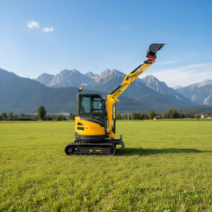 Excavatrices sur chenilles chinoises avec livraison directe, support de distribution DDP, moteur personnalisé EPA EURO5 4.5T, <span class=keywords><strong>certification</strong></span> CE - Product Image 4