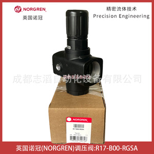 Régulateur de pression Norgren R17-B00-RGSA 17 bars avec manomètre pour traitement de l'air - Product Image 3