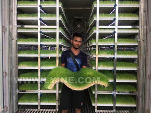 Indoor Container Plant Factory Hydroponics 40HQ <b>Freezer</b> Shipping Container Farm Hydroponic Green Grass Fodder Machine - Product Image 5