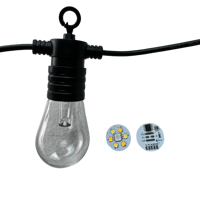 30 Pixels/chaîne 50mm 3D Adressable Pixel Ampoule Clear Globe DC12V/24V IP68 RGB RGBW Full Color RGB/RGBW/RGBCCT 3 Core 18AWG Wire